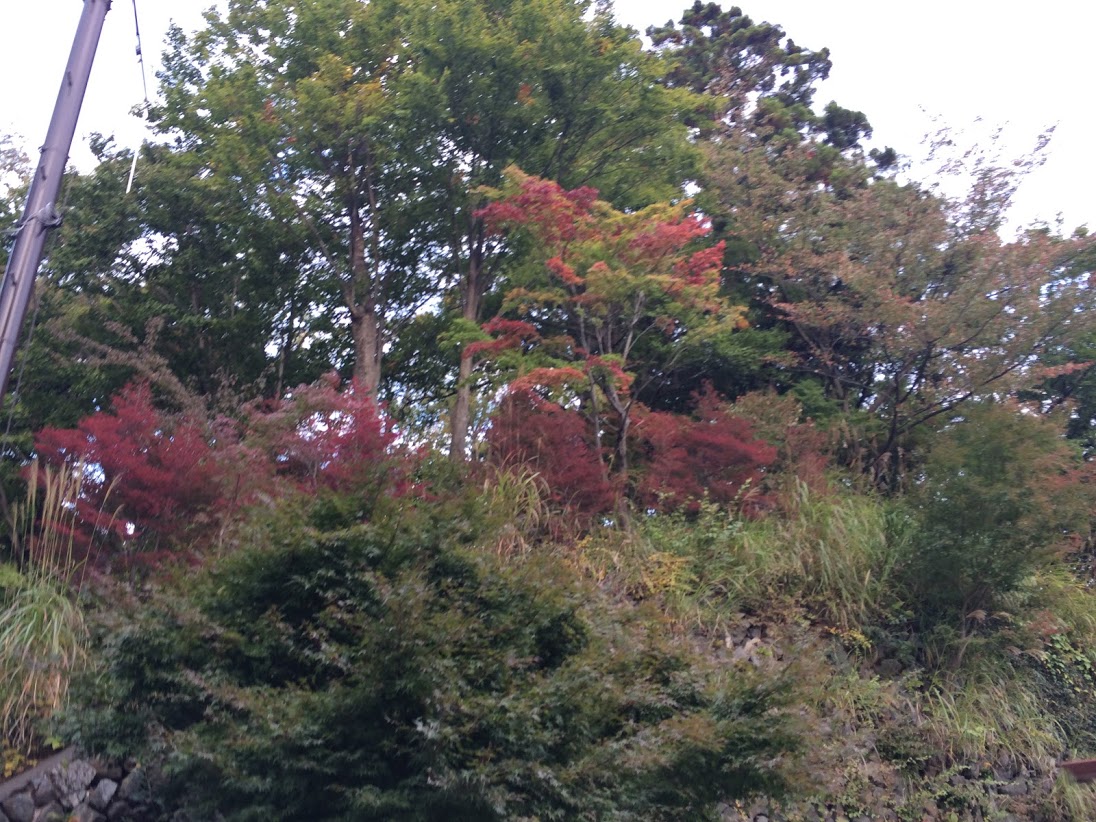 少しだけ紅葉も☆