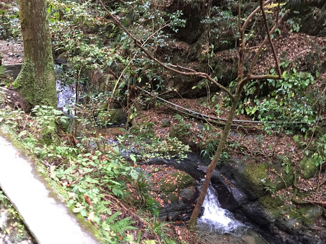 水の音が気持ちいい！